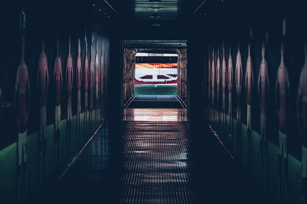 A stadium tunnel opening onto the field